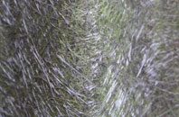 Alton Barnes fibreglass roof work